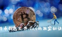 专家揭秘：比特币钱包文