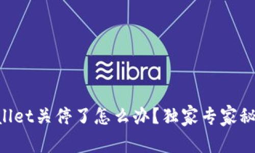 ### TPWallet关停了怎么办？独家专家秘诀教你应对！
