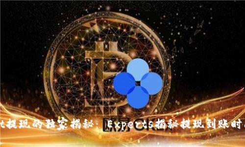 TPWallet提现的独家揭秘： Experts揭秘提现到账时间的秘诀