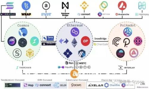 支点交易所提币多久到TP Wallet？专家揭示独家秘诀