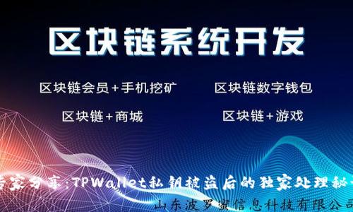 专家分享：TPWallet私钥被盗后的独家处理秘诀