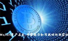 TPWallet资产丢失，专家教你