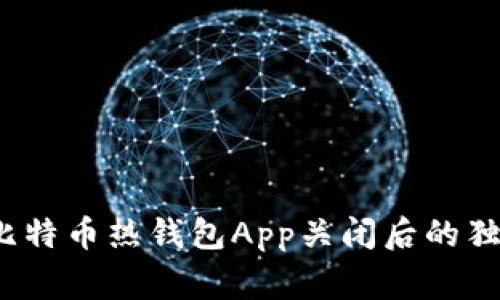 专家揭秘：比特币热钱包App关闭后的独家应对秘诀