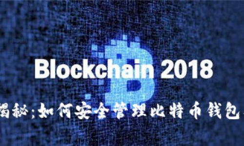 专家独家揭秘：如何安全管理比特币钱包及BCC技巧