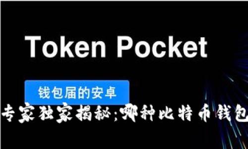 2023年专家独家揭秘：哪种比特币钱包最安全？