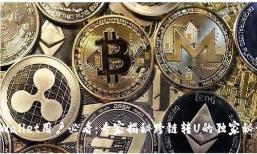 TPWallet用户必看：专家揭秘跨链转U的独家秘诀！
