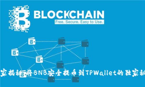 专家揭秘：将BNB安全提币到TPWallet的独家秘诀