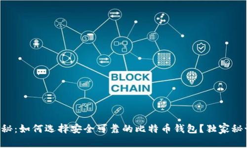 专家揭秘：如何选择安全可靠的比特币钱包？独家秘诀分享！