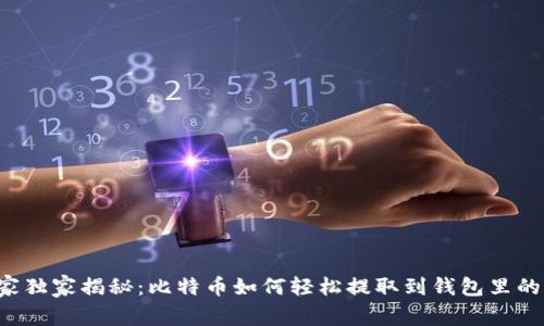 专家独家揭秘：比特币如何轻松提取到钱包里的钱？