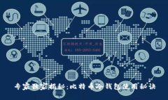 专家独家揭秘：比特币冷