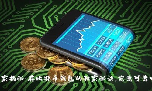 专家揭秘：存比特币钱包的独家秘诀，究竟可靠吗？