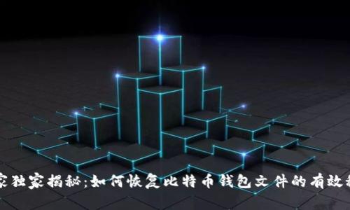 专家独家揭秘：如何恢复比特币钱包文件的有效秘诀