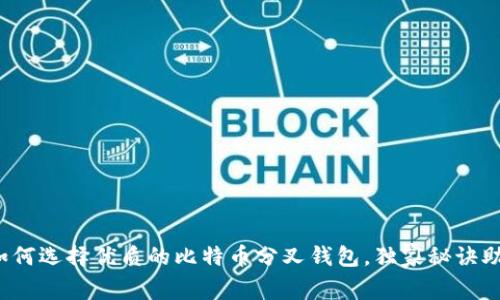 专家解读：如何选择优质的比特币分叉钱包，独家秘诀助你轻松入门