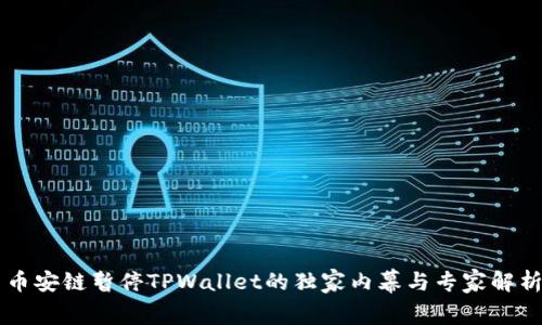 币安链暂停TPWallet的独家内幕与专家解析