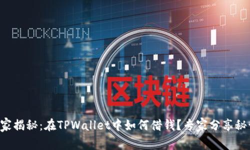 独家揭秘：在TPWallet中如何借钱？专家分享秘诀！
