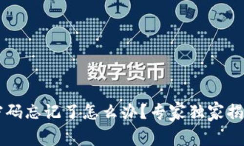 TPWallet密码忘记了怎么办？专家独家揭秘解决秘诀