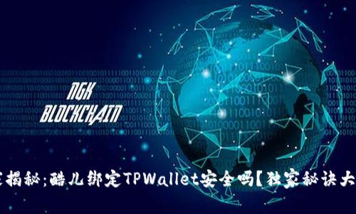 专家揭秘：酷儿绑定TPWallet安全吗？独家秘诀大解析