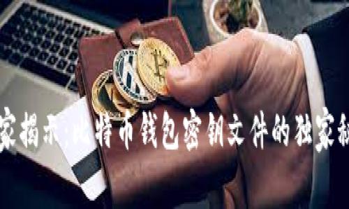 专家揭示：比特币钱包密钥文件的独家秘诀