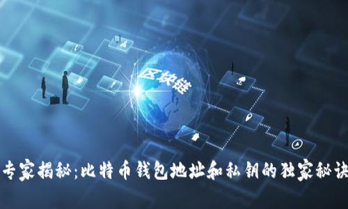 专家揭秘：比特币钱包地址和私钥的独家秘诀