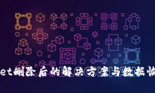 TPWallet删除后的解决方案与数据恢复指南