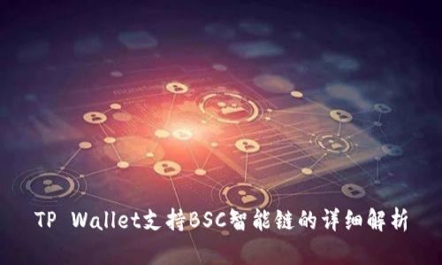 TP Wallet支持BSC智能链的详细解析
