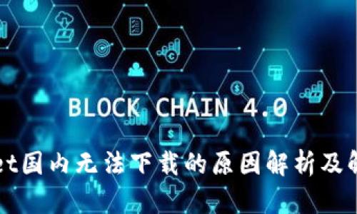 TPWallet国内无法下载的原因解析及解决方案