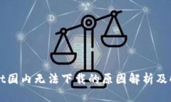 TPWallet国内无法下载的原因