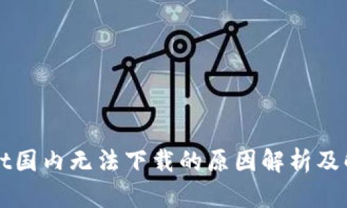 TPWallet国内无法下载的原因解析及解决方案