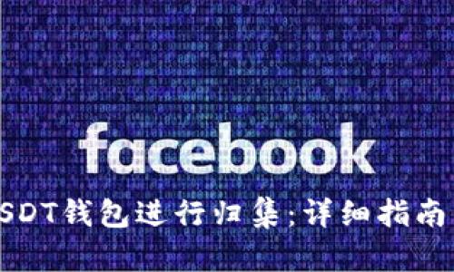 如何搭建USDT钱包进行归集：详细指南与最佳实践