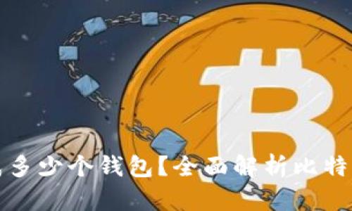 一个比特币可以分成多少个钱包？全面解析比特币钱包的类型与管理