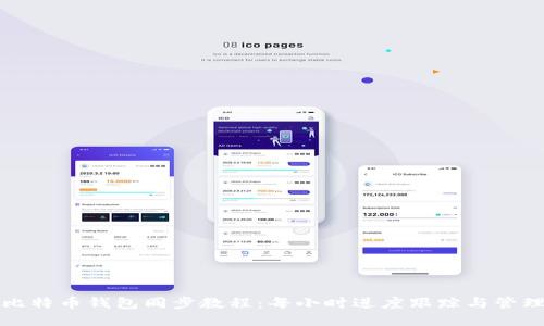 比特币钱包同步教程：每小时进度跟踪与管理