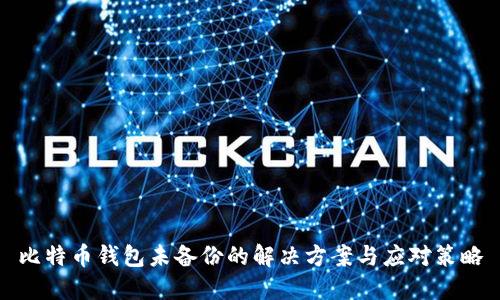 比特币钱包未备份的解决方案与应对策略