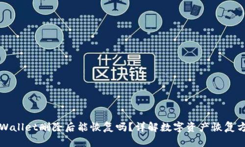TPWallet删除后能恢复吗？详解数字资产恢复方法