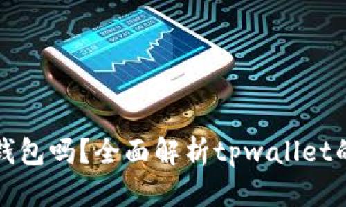 tpwallet是冷钱包吗?全面解析tpwallet的安全性与功能
