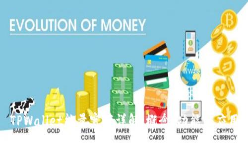 TPWallet能量宽带详解:概念、功能与应用