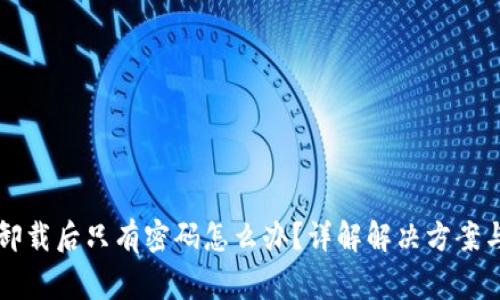 TPWallet卸载后只有密码怎么办?详解解决方案与常见问题