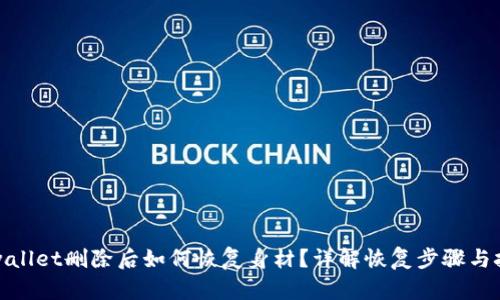 tpwallet删除后如何恢复身材?详解恢复步骤与技巧