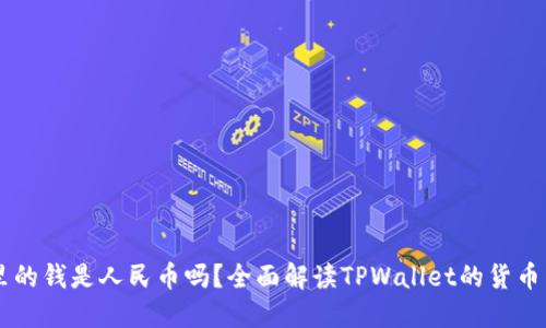 TPWallet里的钱是人民币吗?全面解读TPWallet的货币种类及应用