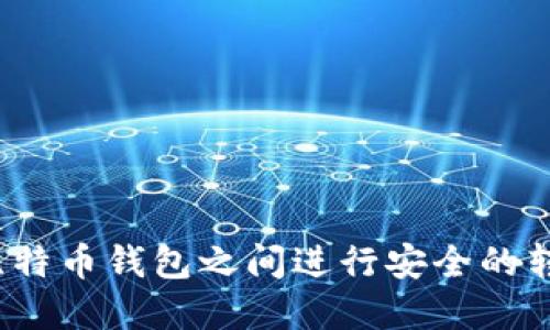 如何在比特币钱包之间进行安全的转账操作?