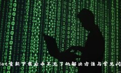 TPWallet重新下载后币不见了