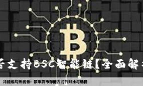 TPWallet是否支持BSC智能链？全面解析及使用指南