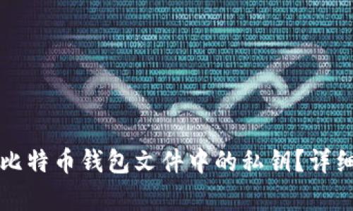 如何找到比特币钱包文件中的私钥？详细指南解析