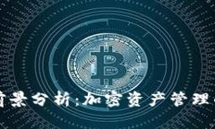 TPWallet前景分析：加密资产