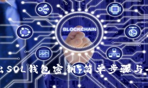 如何导出SOL钱包密钥：简单步骤与全面指南
