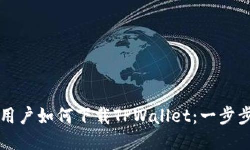 国内用户如何下载TPWallet：一步步指南