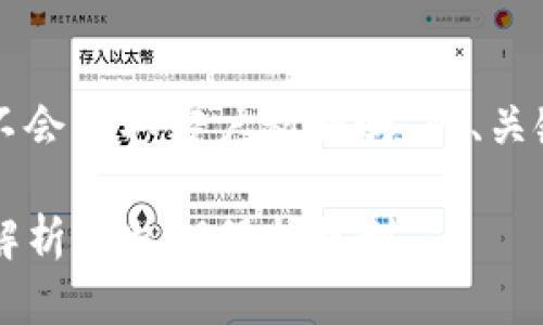 下面是关于“tpwallet不会盗取客户私钥吗”的、关键词及详细介绍的结构。

tpwallet安全吗？深入解析其私钥保护机制