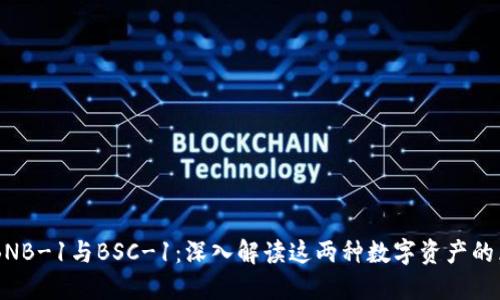 TPWalletBNB-1与BSC-1：深入解读这两种数字资产的区别与联系