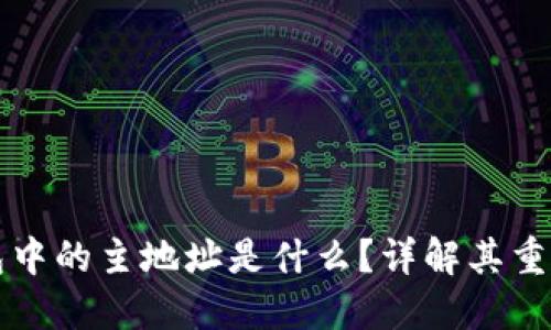 比特币钱包中的主地址是什么？详解其重要性与功能