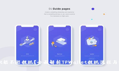TPWallet能不能提现？全面解析TPWallet提现流程与注意事项