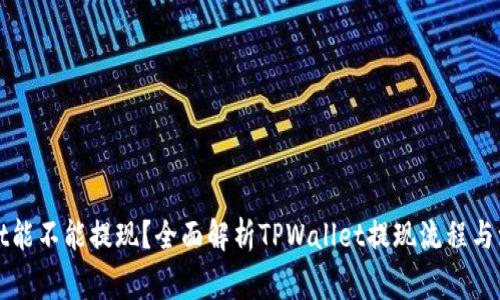 TPWallet能不能提现？全面解析TPWallet提现流程与注意事项